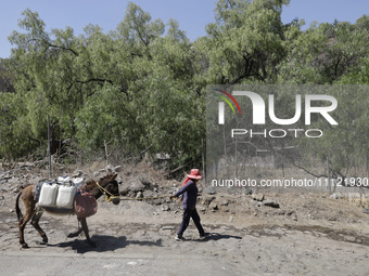 A person and his donkey are carrying water in Santa Cruz Acalpixca, Xochimilco, in Mexico City, due to the shortage of water in the area. (