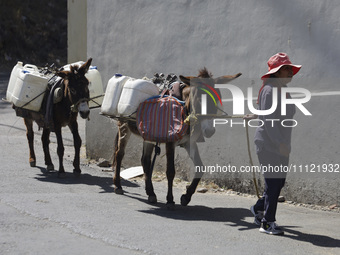 A person is carrying water with his donkeys in Santa Cruz Acalpixca, Xochimilco, in Mexico City, due to a water shortage in the area. (