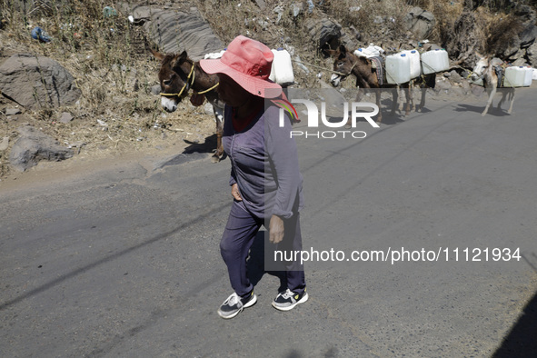 A person is carrying water with his donkeys in Santa Cruz Acalpixca, Xochimilco, in Mexico City, due to a water shortage in the area. 