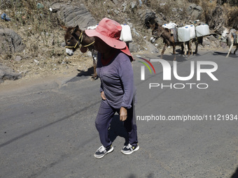 A person is carrying water with his donkeys in Santa Cruz Acalpixca, Xochimilco, in Mexico City, due to a water shortage in the area. (