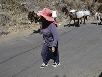 A person is carrying water with his donkeys in Santa Cruz Acalpixca, Xochimilco, in Mexico City, due to a water shortage in the area. (