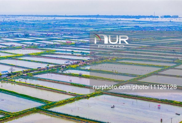 An aerial photo is showing an organic crab breeding base in Suqian, Jiangsu Province, China, on April 6, 2024. 