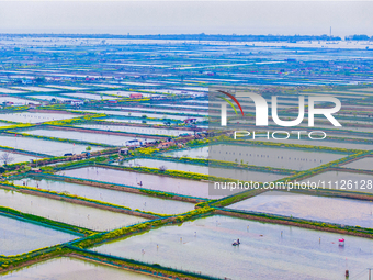 An aerial photo is showing an organic crab breeding base in Suqian, Jiangsu Province, China, on April 6, 2024. (