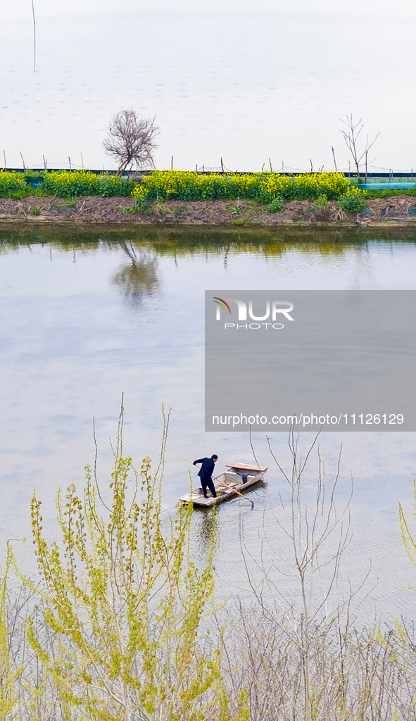 An aerial photo is showing an organic crab breeding base in Suqian, Jiangsu Province, China, on April 6, 2024. 