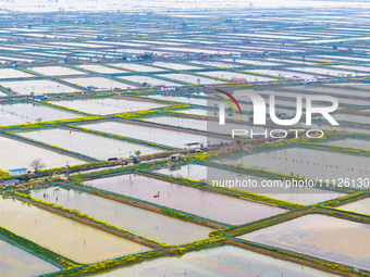 An aerial photo is showing an organic crab breeding base in Suqian, Jiangsu Province, China, on April 6, 2024. (