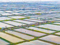 An aerial photo is showing an organic crab breeding base in Suqian, Jiangsu Province, China, on April 6, 2024. (