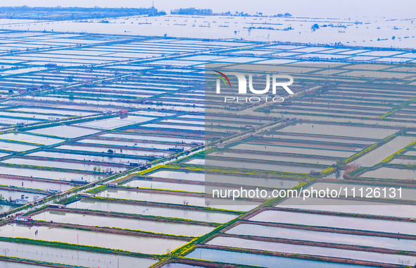 An aerial photo is showing an organic crab breeding base in Suqian, Jiangsu Province, China, on April 6, 2024. 