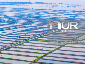 An aerial photo is showing an organic crab breeding base in Suqian, Jiangsu Province, China, on April 6, 2024. (