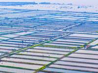 An aerial photo is showing an organic crab breeding base in Suqian, Jiangsu Province, China, on April 6, 2024. (