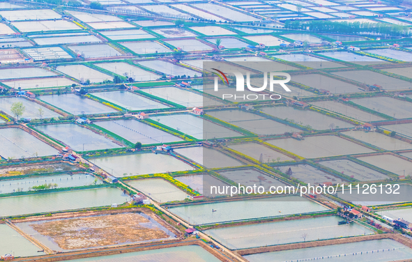 An aerial photo is showing an organic crab breeding base in Suqian, Jiangsu Province, China, on April 6, 2024. 