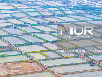 An aerial photo is showing an organic crab breeding base in Suqian, Jiangsu Province, China, on April 6, 2024. (