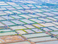 An aerial photo is showing an organic crab breeding base in Suqian, Jiangsu Province, China, on April 6, 2024. (