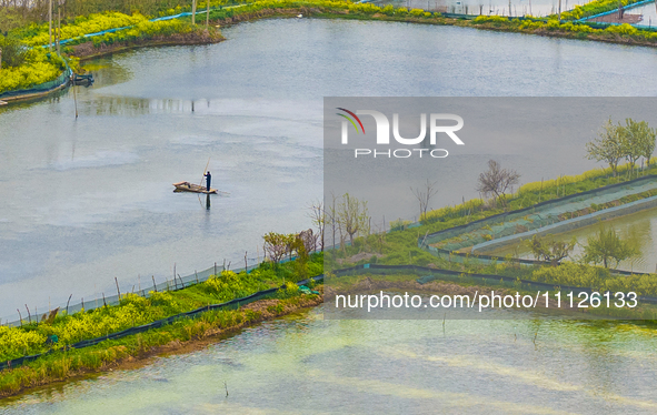 An aerial photo is showing an organic crab breeding base in Suqian, Jiangsu Province, China, on April 6, 2024. 