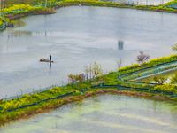 An aerial photo is showing an organic crab breeding base in Suqian, Jiangsu Province, China, on April 6, 2024. (