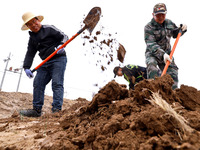 Volunteers are planting trees in Zhangye, Gansu Province, China, on April 9, 2024. (