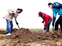 Volunteers are planting trees in Zhangye, Gansu Province, China, on April 9, 2024. (