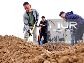 Volunteers are planting trees in Zhangye, Gansu Province, China, on April 9, 2024. (