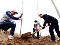 Volunteers are planting trees in Zhangye, Gansu Province, China, on April 9, 2024. (