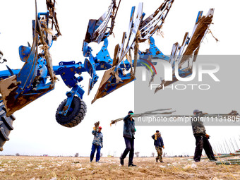 Volunteers are planting trees in Zhangye, Gansu Province, China, on April 9, 2024. (