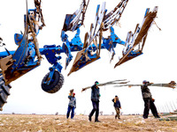 Volunteers are planting trees in Zhangye, Gansu Province, China, on April 9, 2024. (