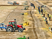 Volunteers are planting trees in Zhangye, Gansu Province, China, on April 9, 2024. (