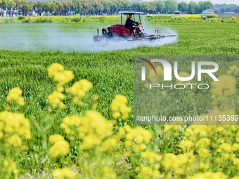 A farmer is driving a plant protection machine to control wheat scab in Sanlian village, Jinxi town, Kunshan City, China, on April 10, 2024....