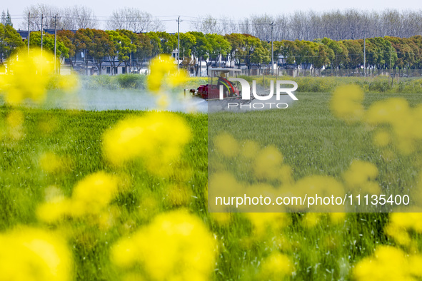 A farmer is driving a plant protection machine to control wheat scab in Sanlian village, Jinxi town, Kunshan City, China, on April 10, 2024....