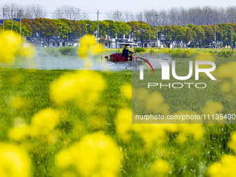 A farmer is driving a plant protection machine to control wheat scab in Sanlian village, Jinxi town, Kunshan City, China, on April 10, 2024....