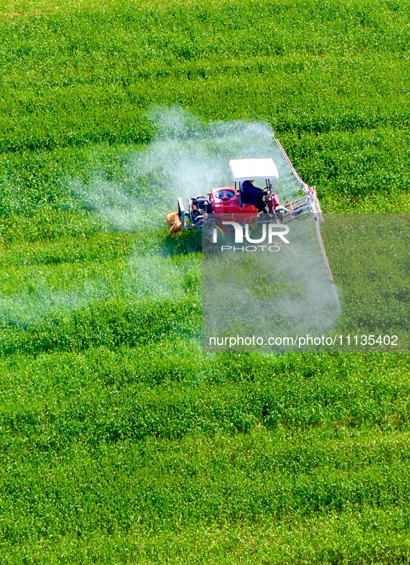 A farmer is driving a plant protection machine to control wheat scab in Sanlian village, Jinxi town, Kunshan City, China, on April 10, 2024....