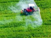 A farmer is driving a plant protection machine to control wheat scab in Sanlian village, Jinxi town, Kunshan City, China, on April 10, 2024....