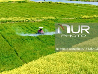 A farmer is driving a plant protection machine to control wheat scab in Sanlian village, Jinxi town, Kunshan City, China, on April 10, 2024....