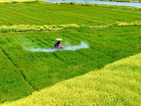 A farmer is driving a plant protection machine to control wheat scab in Sanlian village, Jinxi town, Kunshan City, China, on April 10, 2024....