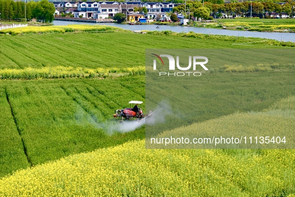 A farmer is driving a plant protection machine to control wheat scab in Sanlian village, Jinxi town, Kunshan City, China, on April 10, 2024....