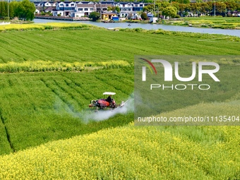 A farmer is driving a plant protection machine to control wheat scab in Sanlian village, Jinxi town, Kunshan City, China, on April 10, 2024....