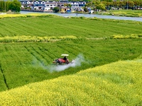 A farmer is driving a plant protection machine to control wheat scab in Sanlian village, Jinxi town, Kunshan City, China, on April 10, 2024....