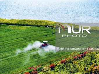 A farmer is driving a plant protection machine to control wheat scab in Sanlian village, Jinxi town, Kunshan City, China, on April 10, 2024....