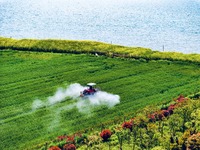 A farmer is driving a plant protection machine to control wheat scab in Sanlian village, Jinxi town, Kunshan City, China, on April 10, 2024....