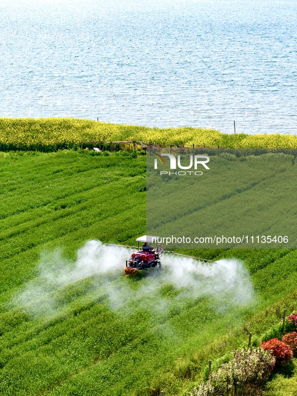 A farmer is driving a plant protection machine to control wheat scab in Sanlian village, Jinxi town, Kunshan City, China, on April 10, 2024....