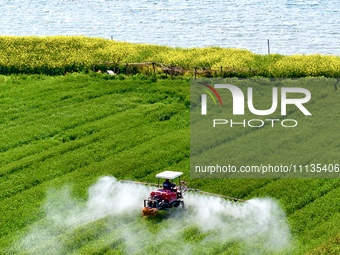 A farmer is driving a plant protection machine to control wheat scab in Sanlian village, Jinxi town, Kunshan City, China, on April 10, 2024....