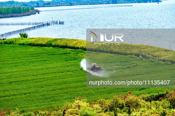 A farmer is driving a plant protection machine to control wheat scab in Sanlian village, Jinxi town, Kunshan City, China, on April 10, 2024....