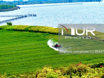 A farmer is driving a plant protection machine to control wheat scab in Sanlian village, Jinxi town, Kunshan City, China, on April 10, 2024....