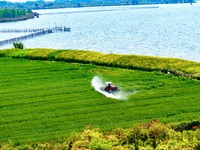 A farmer is driving a plant protection machine to control wheat scab in Sanlian village, Jinxi town, Kunshan City, China, on April 10, 2024....