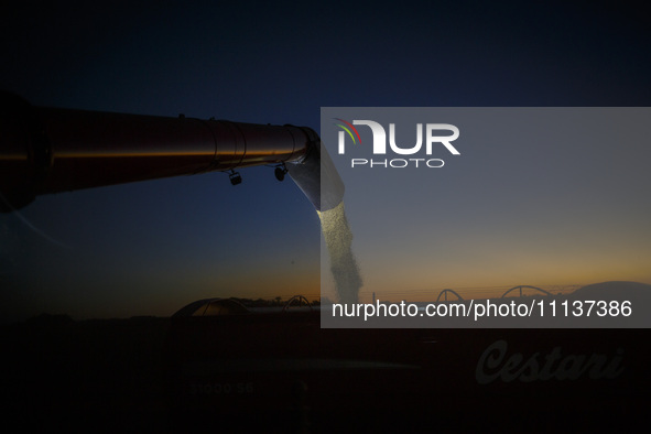 Grain is being unloaded from the combine onto a grain trailer in the last light of the day. 