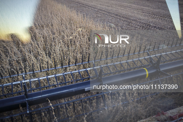 The reel of the combine is being seen from inside the driver's cabin. 