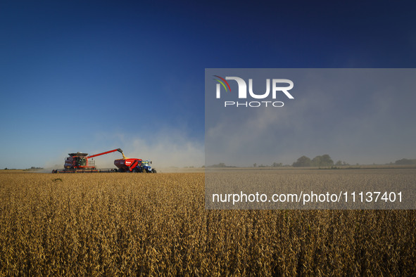 A combine is unloading grain onto a grain trailer while harvesting a soybean field. 