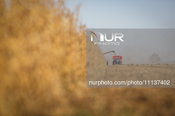 A combine is unloading soybeans onto a grain trailer as it harvests a soybean field. 