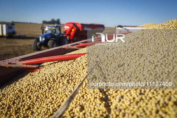 A tractor is passing by a fully loaded grain trailer after unloading soybeans. 