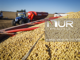 A tractor is passing by a fully loaded grain trailer after unloading soybeans. (