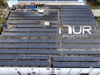 Workers are installing solar photovoltaic panels on the roof of a factory in Haian, Jiangsu Province, China, on April 11, 2024. (