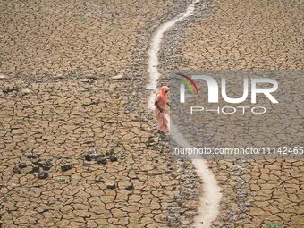 A woman is crossing a dried-up lake at Boklung near Kathiatoli in Nagaon District, Assam, India, on April 13, 2024. (